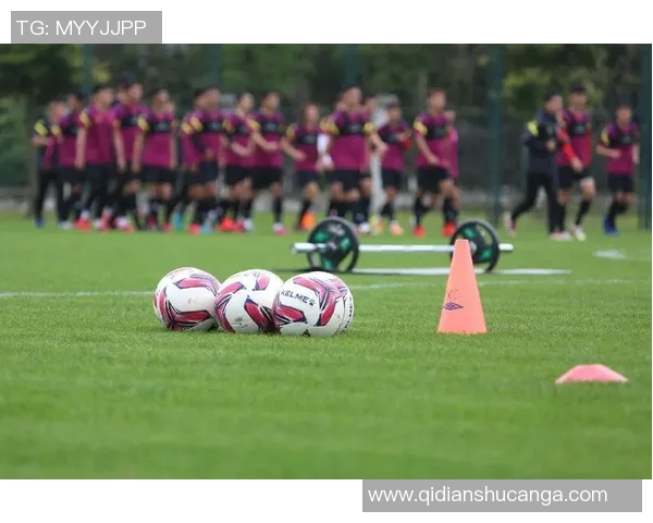 武汉排球队包夹战术革新探讨与实践成效分析