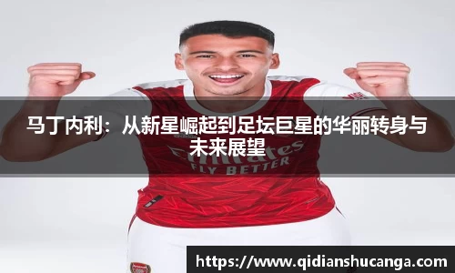马丁内利：从新星崛起到足坛巨星的华丽转身与未来展望