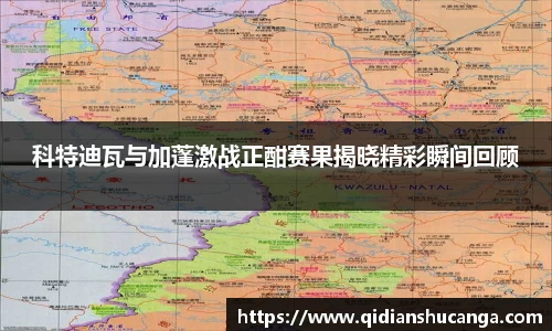 k1体育官方网站